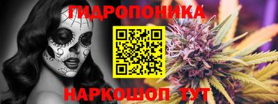 сатива Новокубанск