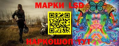 a pvp Новодвинск