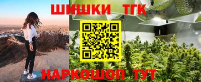 прущие грибы Обнинск
