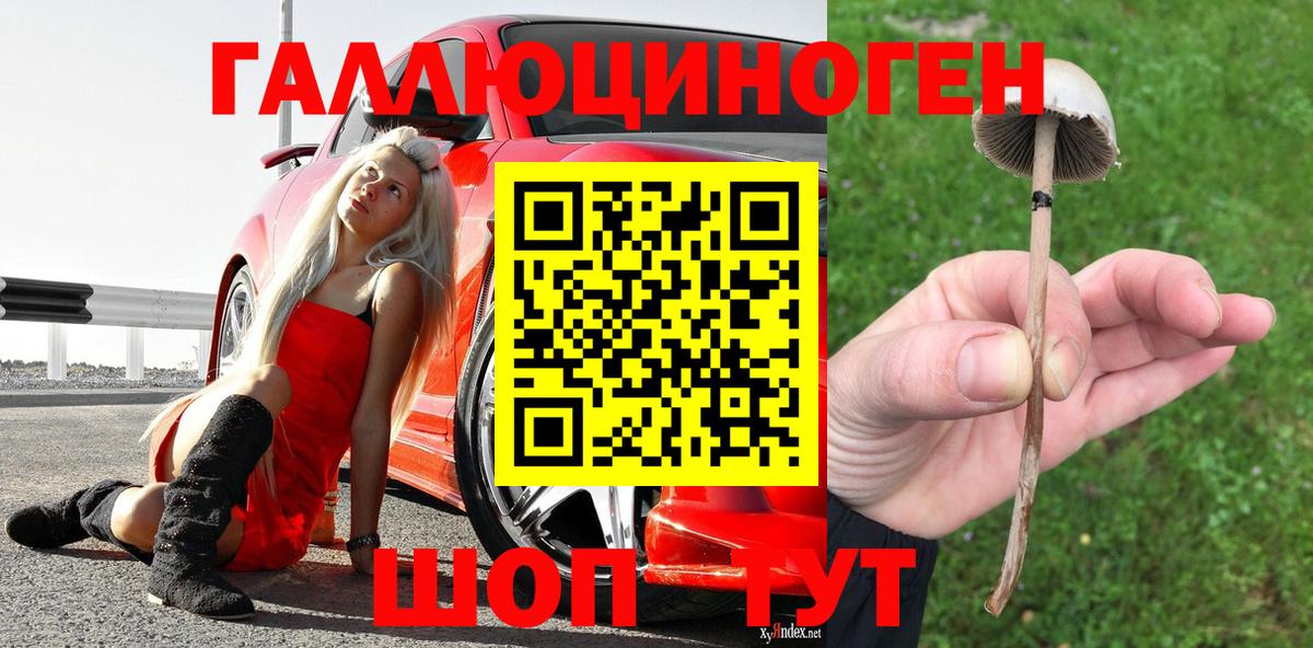 закладки  Вход с VPN  Серов  Галлюциногенные грибы Psilocybine cubensis 