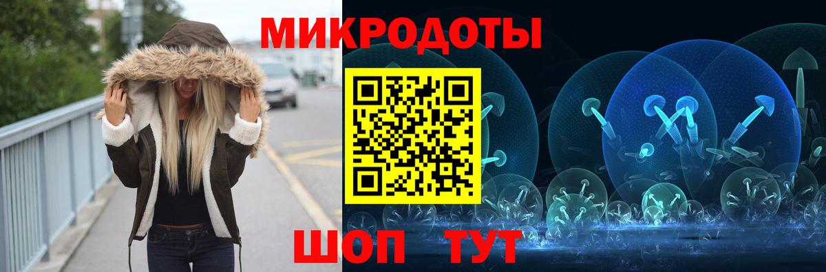 Псилоцибиновые грибы прущие грибы Серов